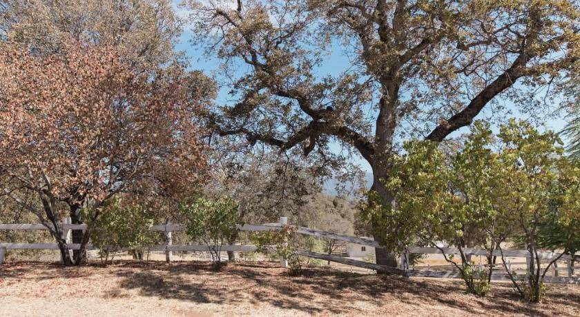 Photo of Others in Mariposa