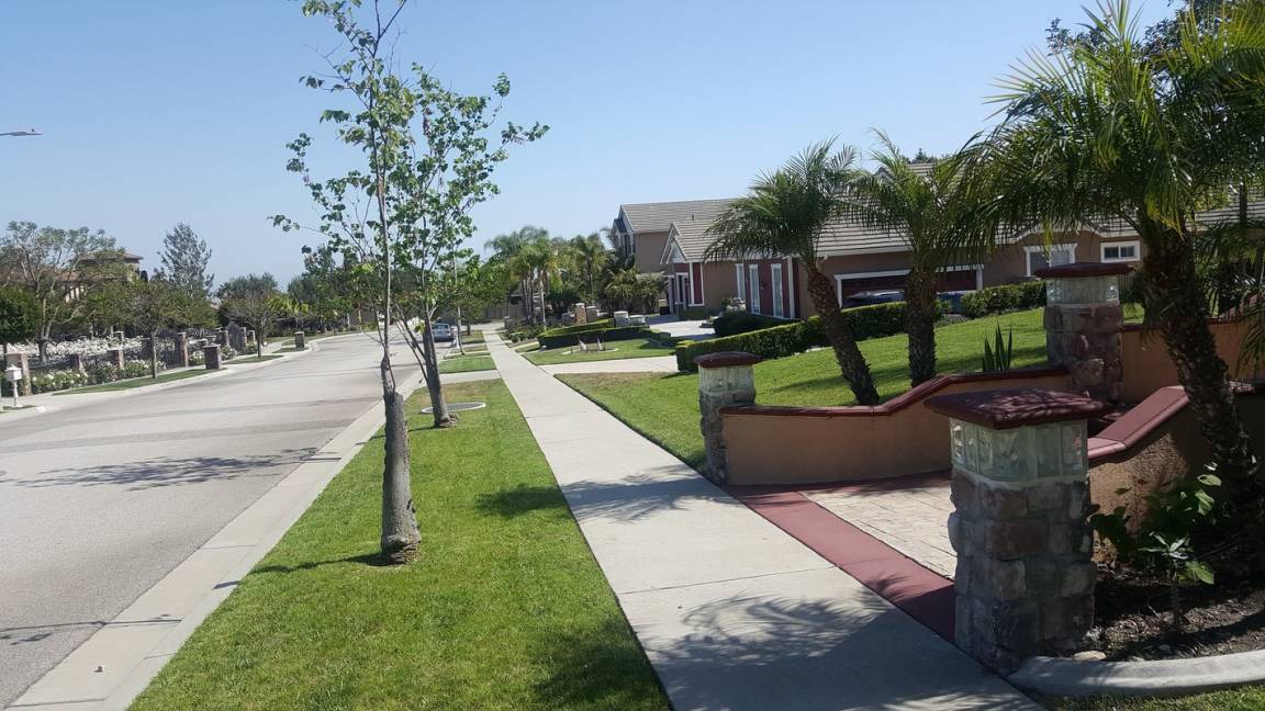Photo of Others in Rancho Cucamonga