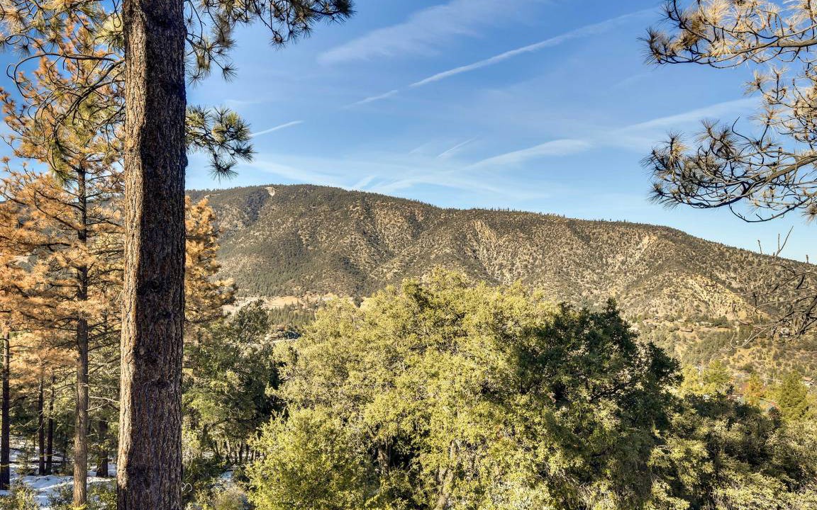 Photo of Others in Pine Mountain Club