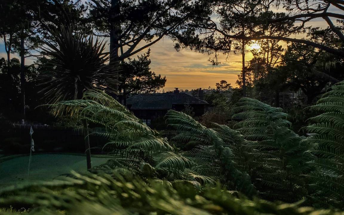 Photo of Others in Pebble Beach