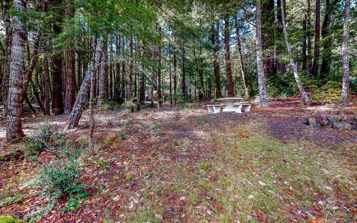 Photo of Others in Timber Cove