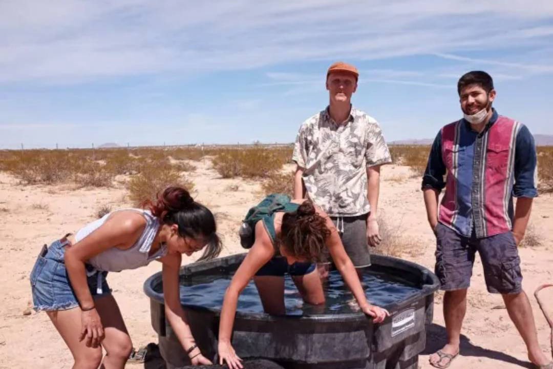 Photo of Others in Joshua Tree