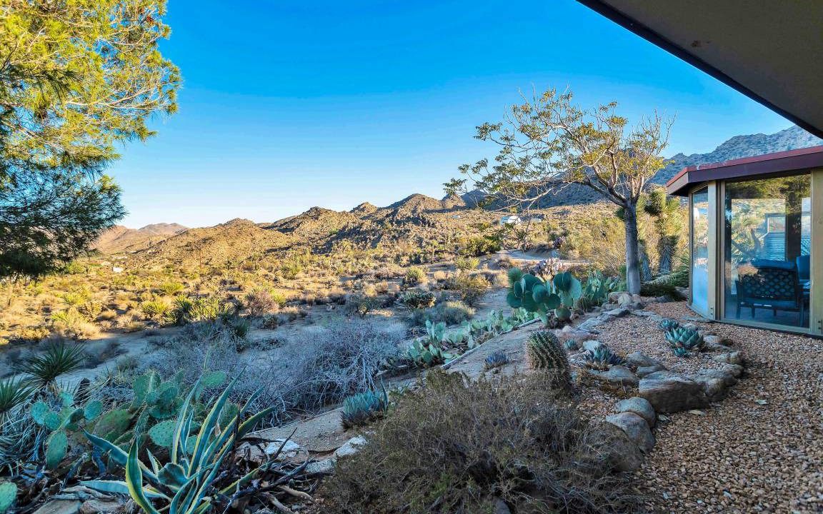 Photo of Others in Joshua Tree Highlands