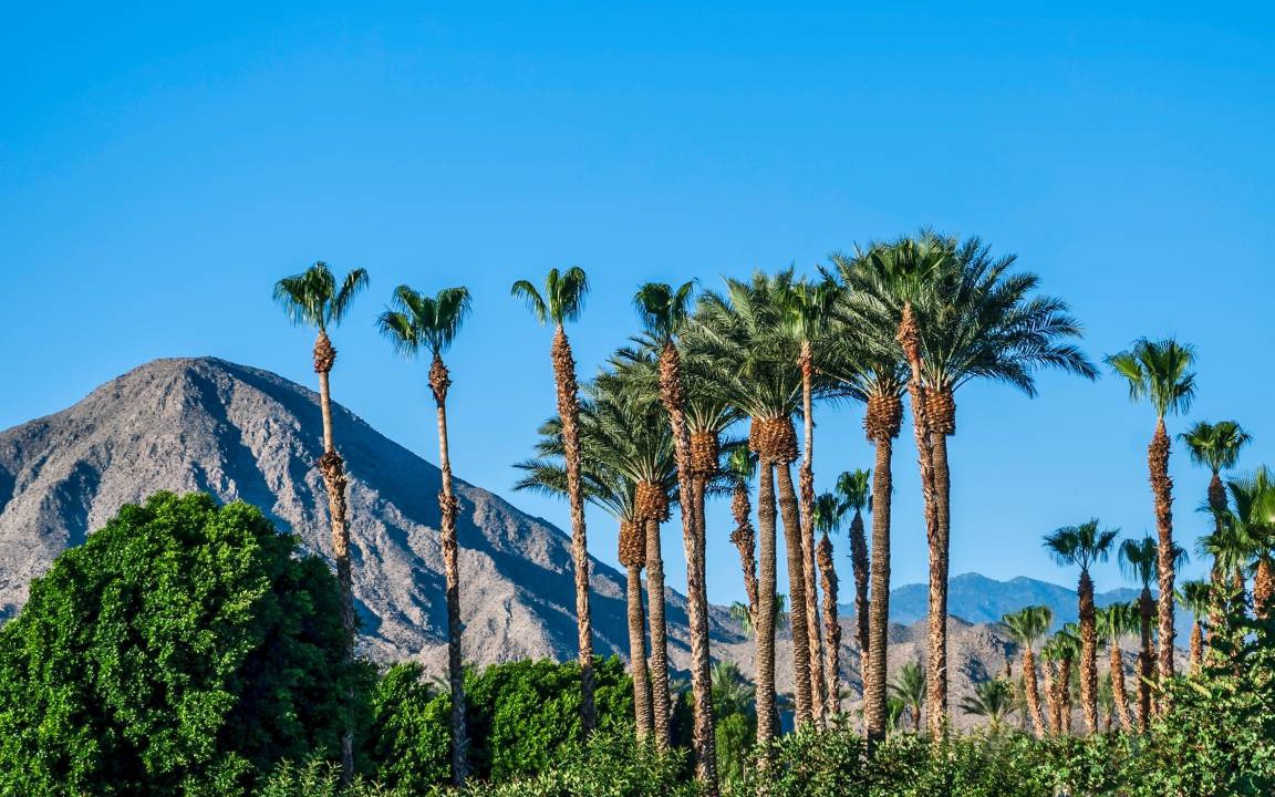 Photo of Others in Desert Hot Springs