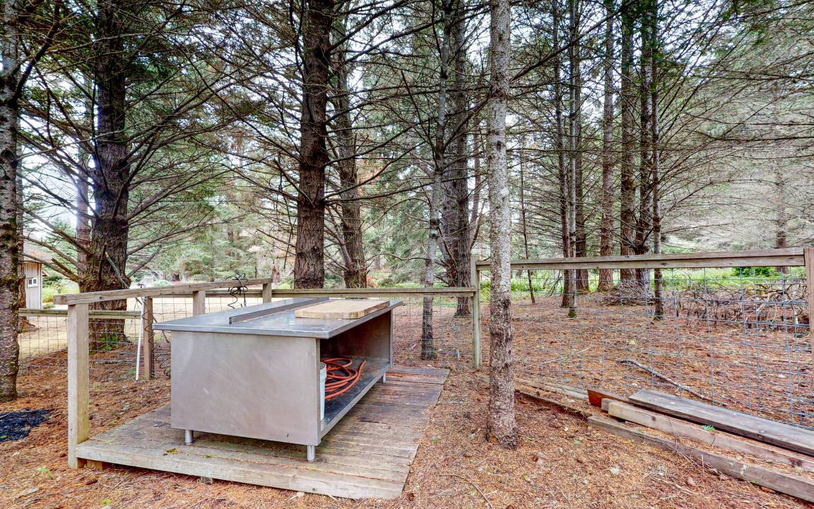 Photo of Others in Shelter Cove