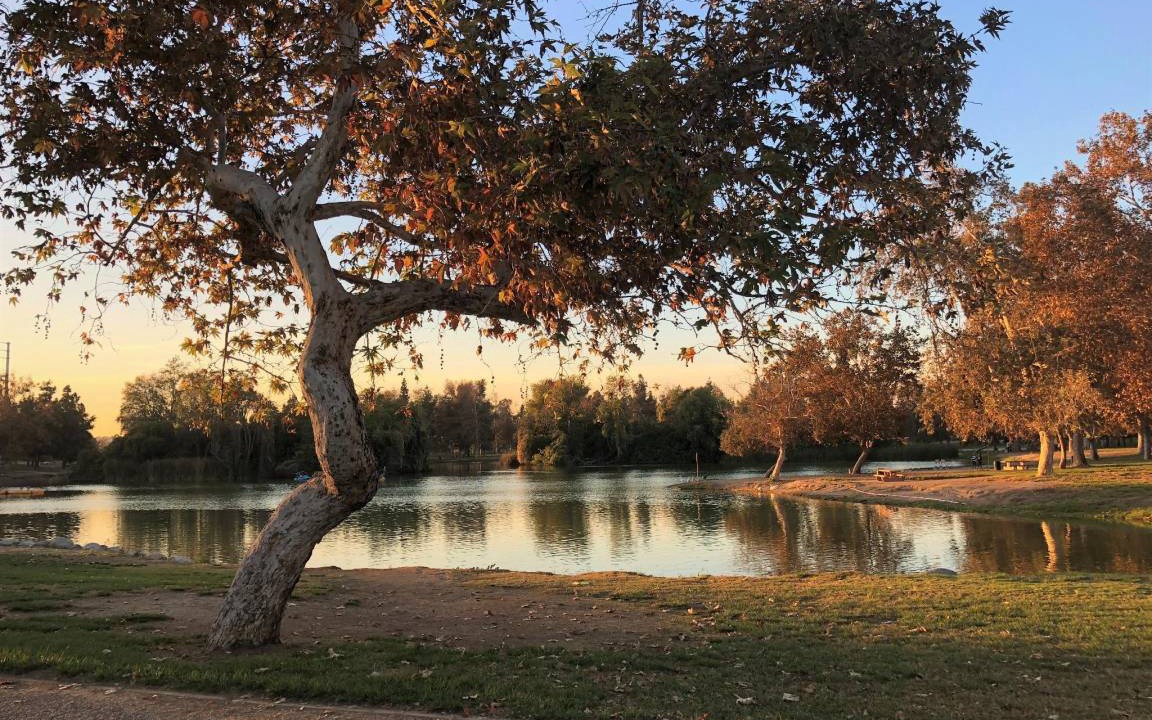 Photo of Others in Rosemead
