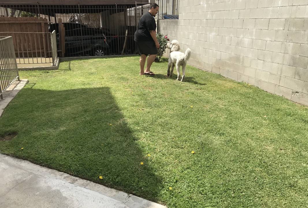 Photo of Others in Alhambra