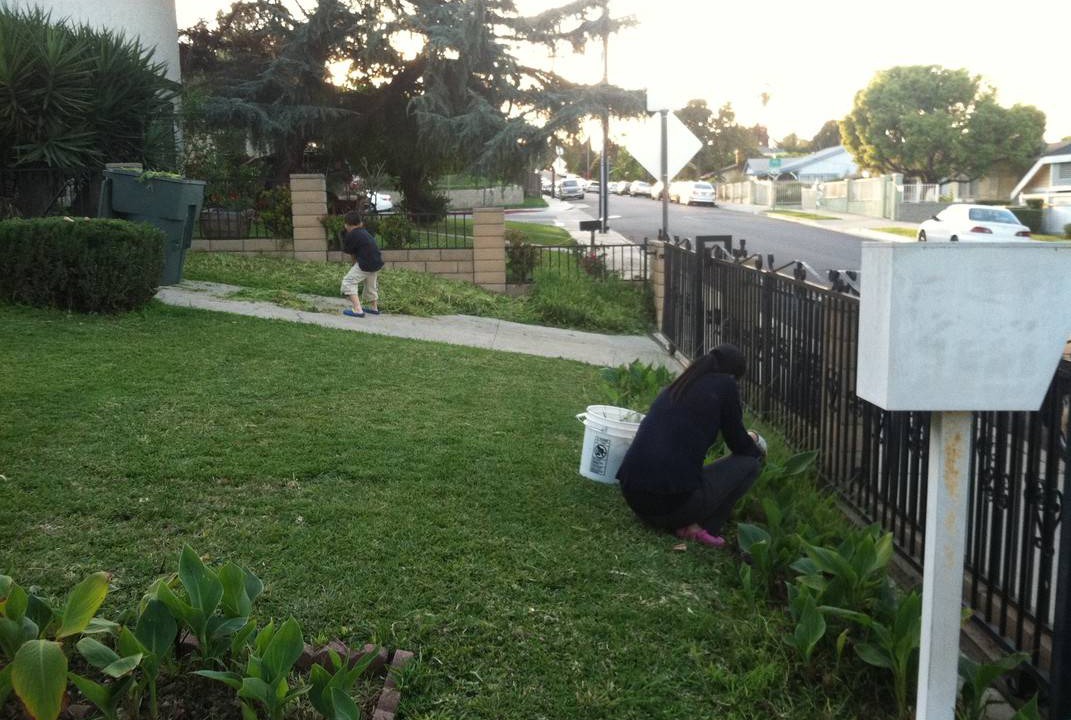 Photo of Others in Monterey Park