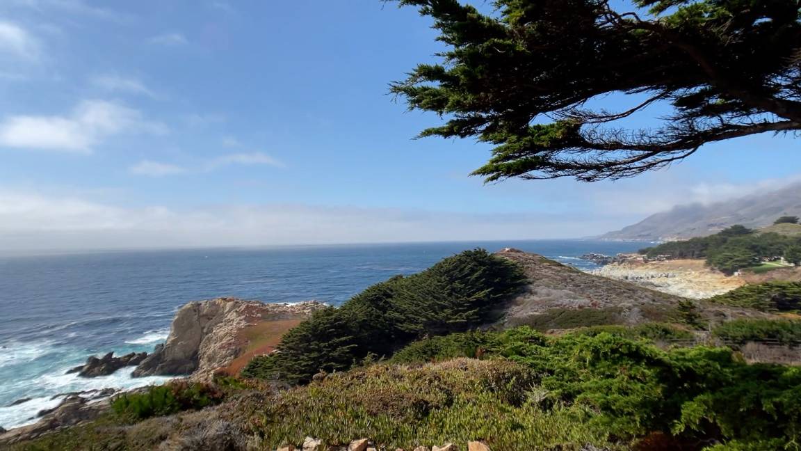 Photo of Others in Carmel