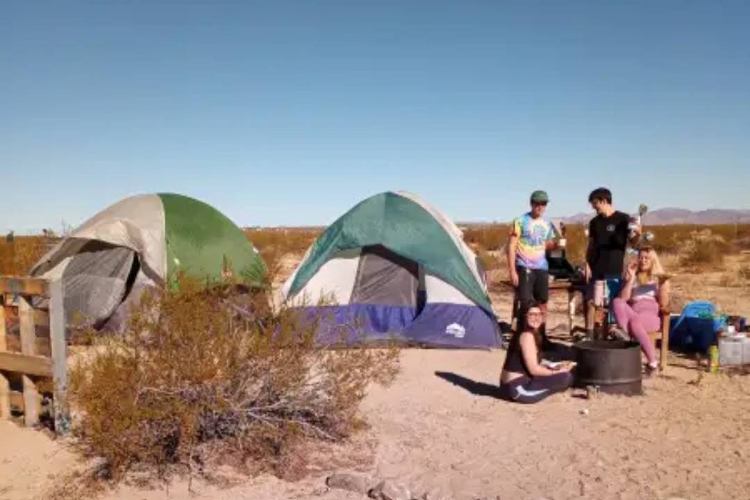 Photo of Others in Joshua Tree