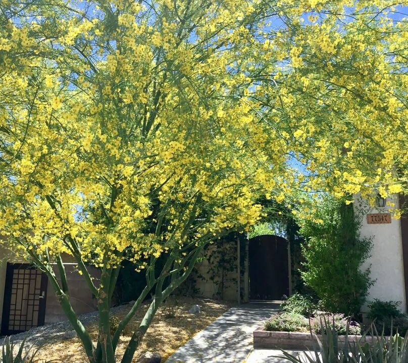 Photo of Others in Palm Desert