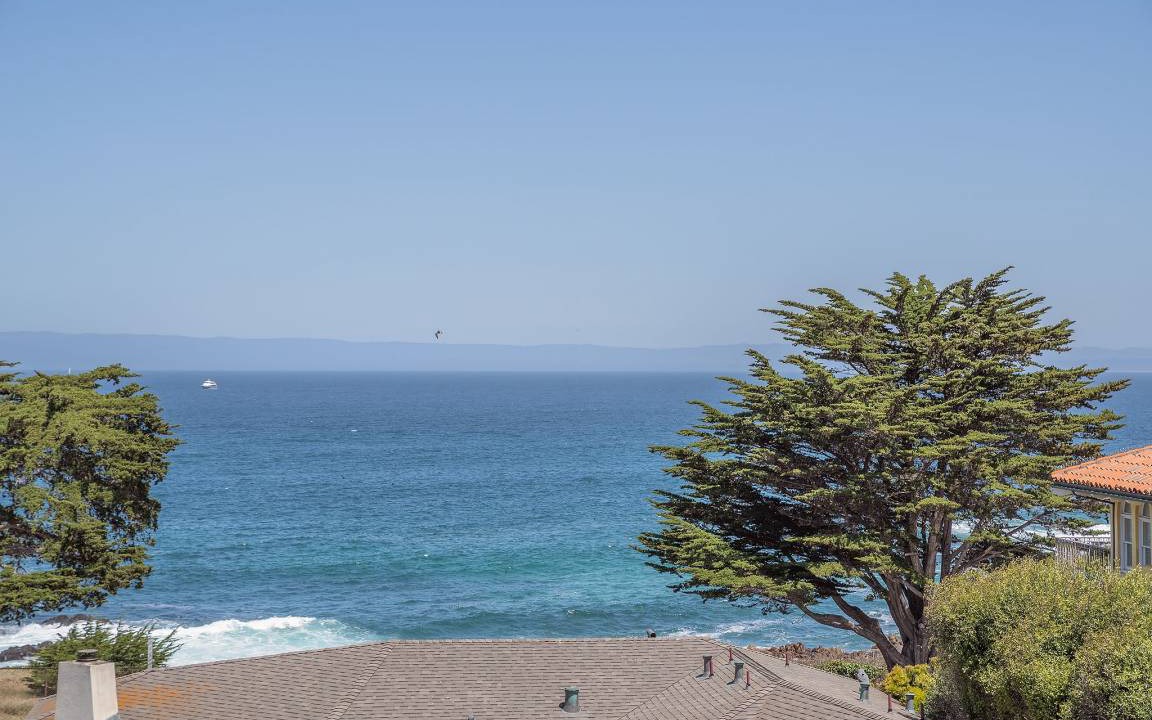 Photo of Others in Pacific Grove