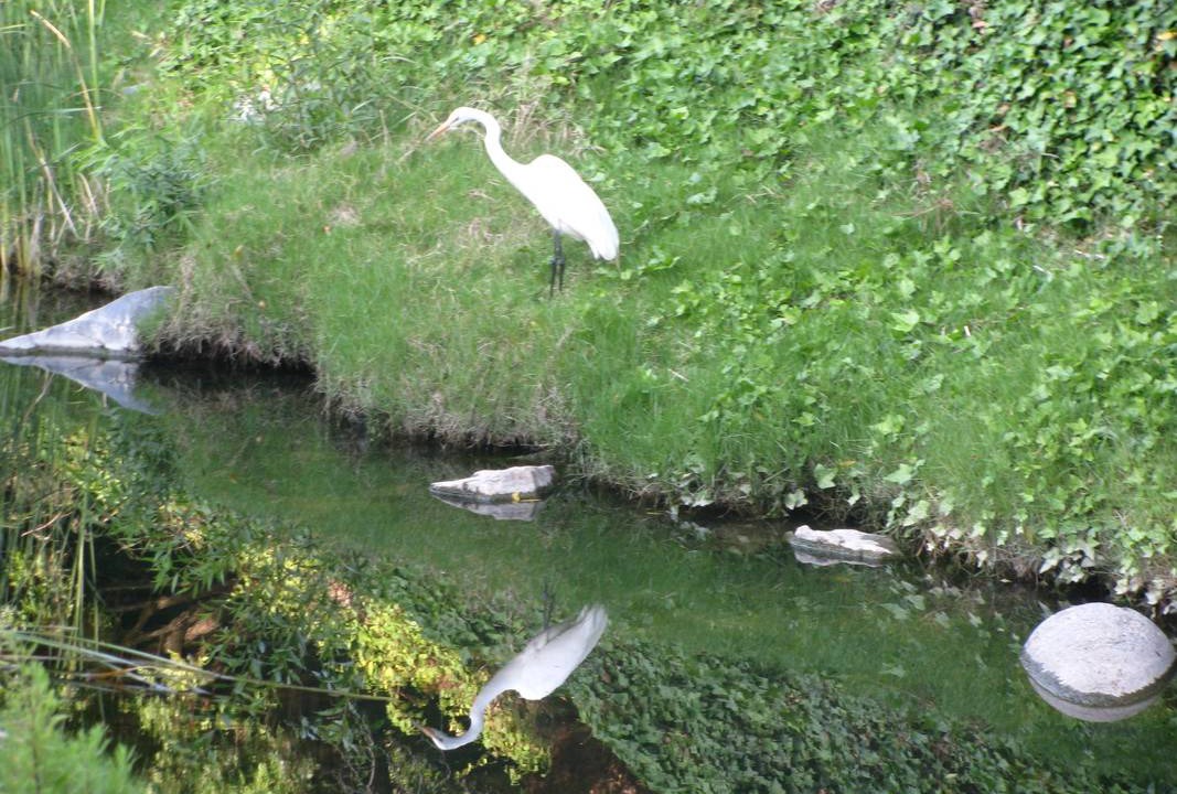 Photo of Others in Laguna Woods