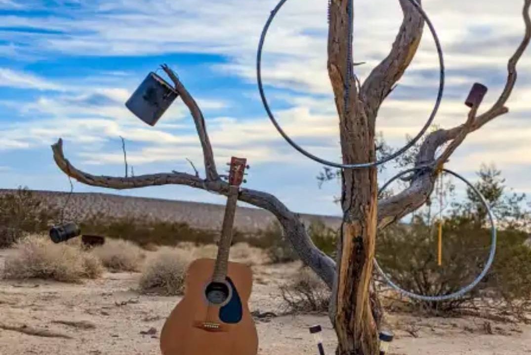 Photo of Others in Joshua Tree