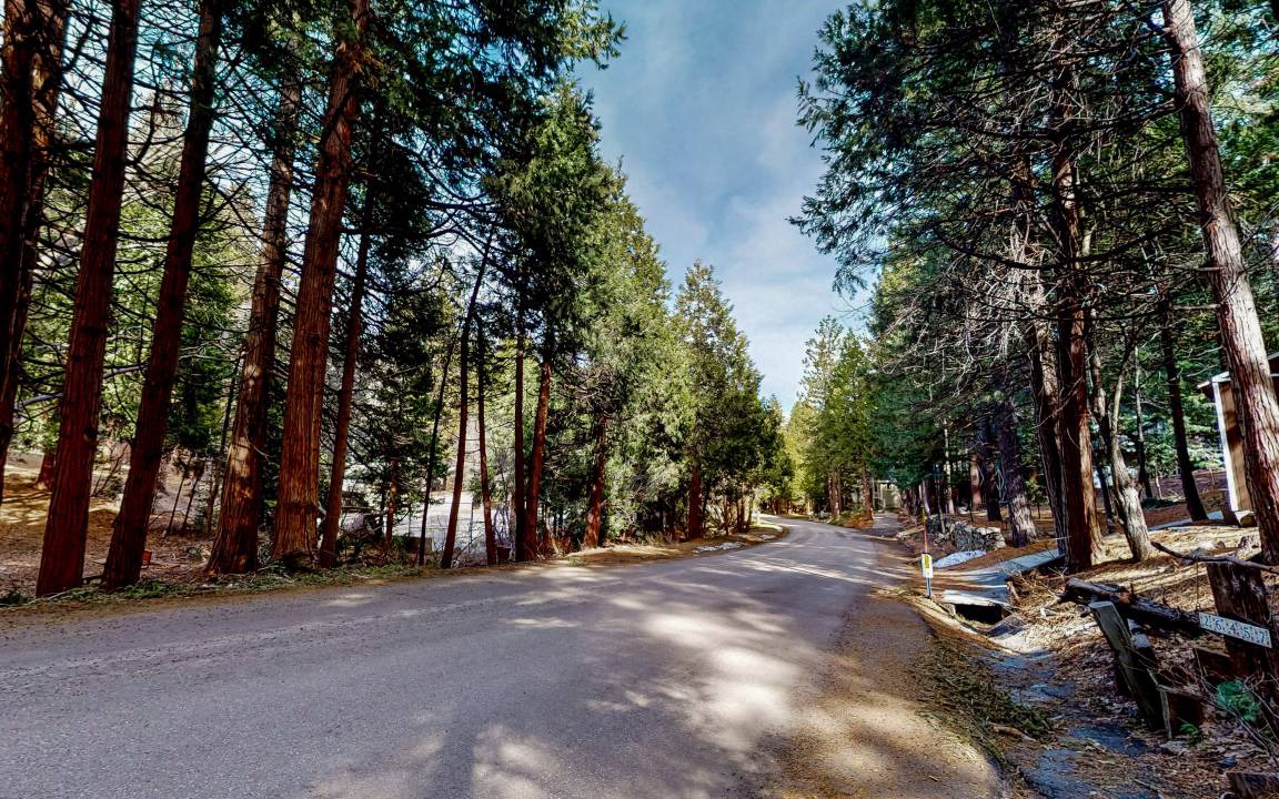 Photo of Others in Twin Peaks