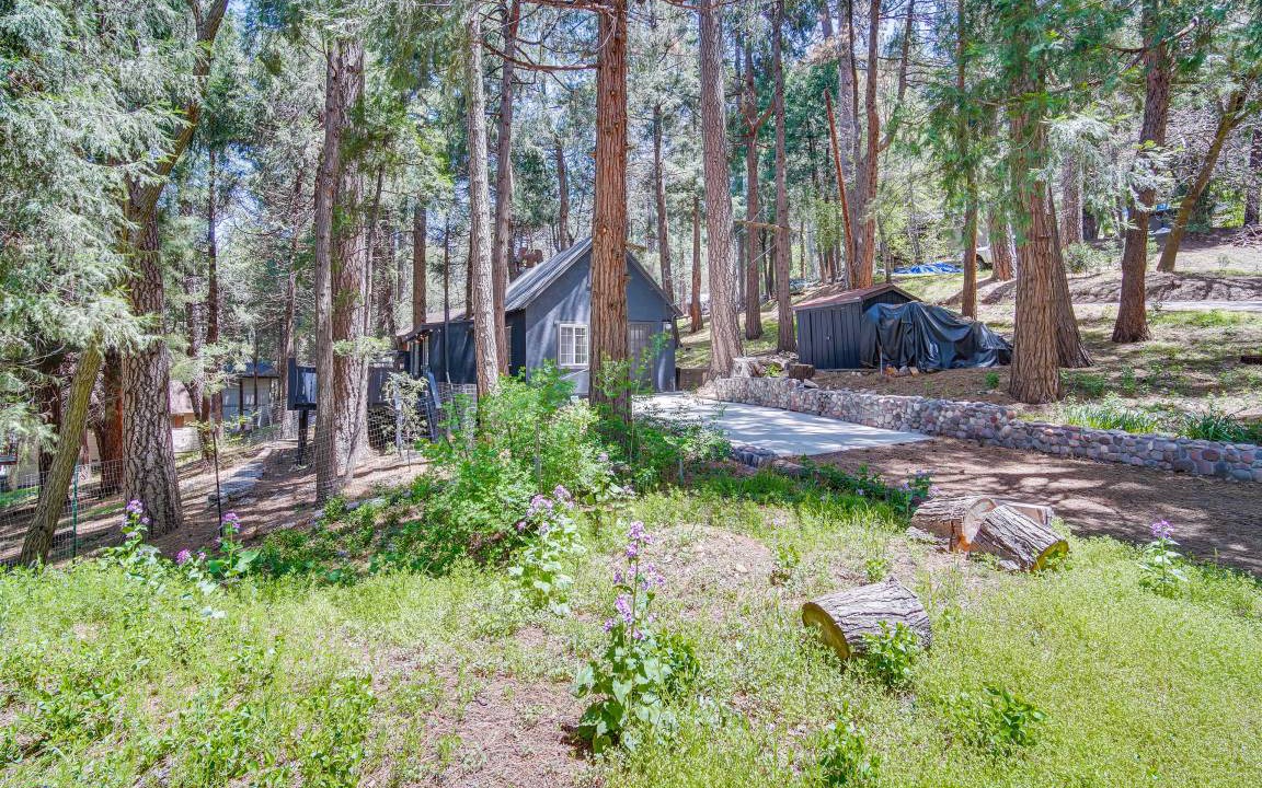 Photo of Others in Crestline