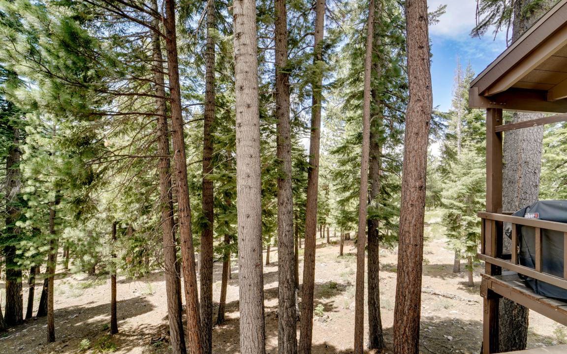 Photo of Others in Truckee