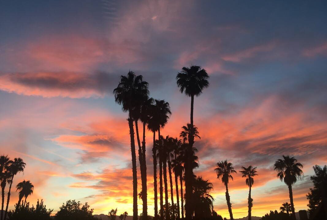 Photo of Others in Palm Desert