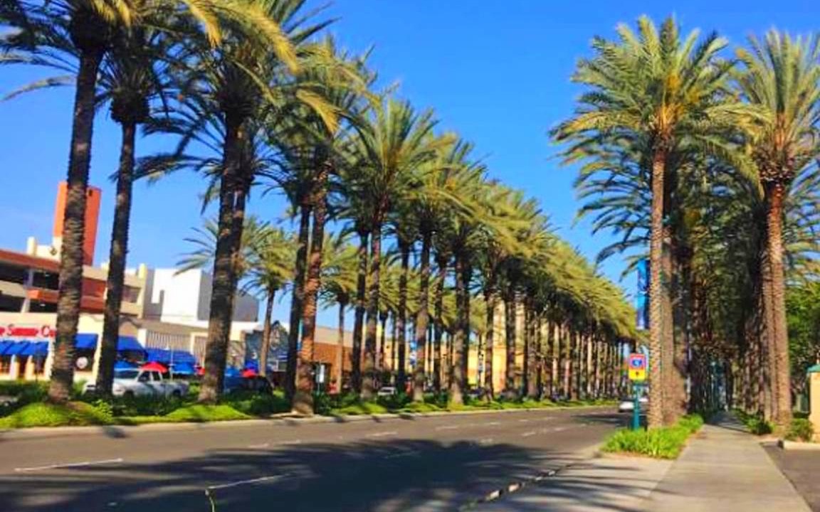 Photo of Others in Anaheim Resort