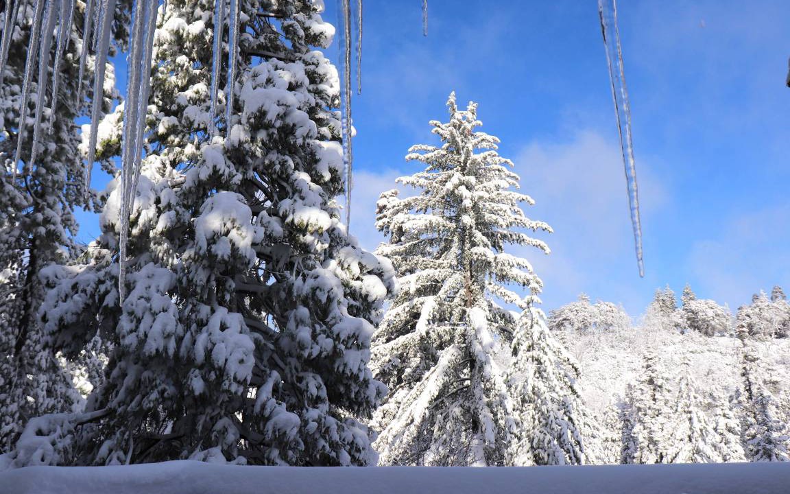 Photo of Others in Lake Arrowhead