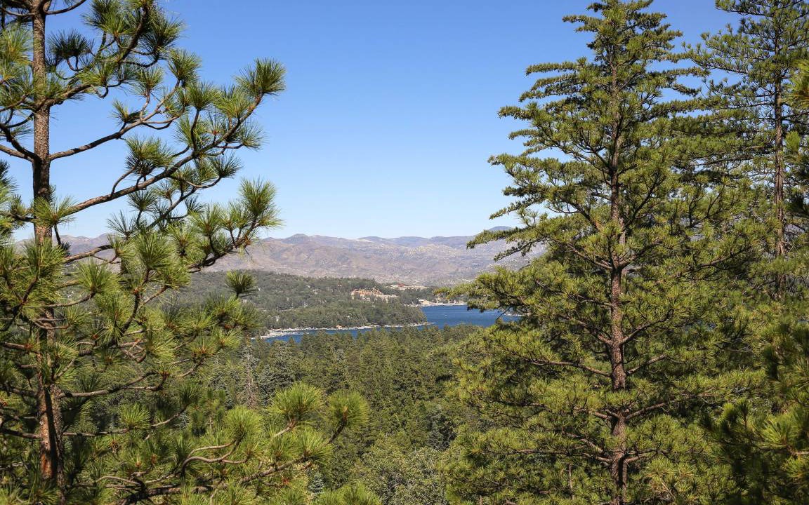 Photo of Others in Lake Arrowhead