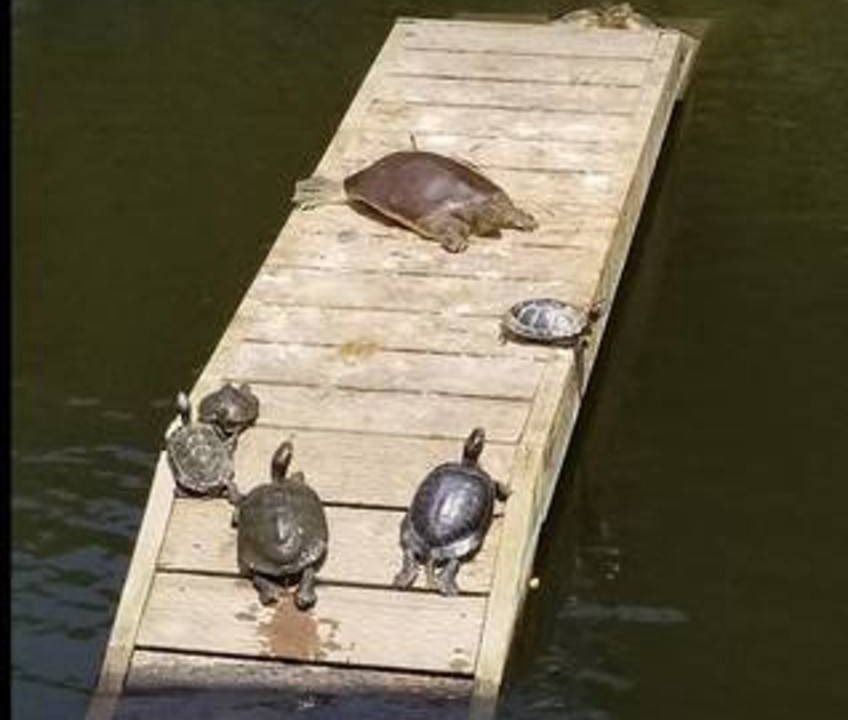 Photo of Others in Ranchos