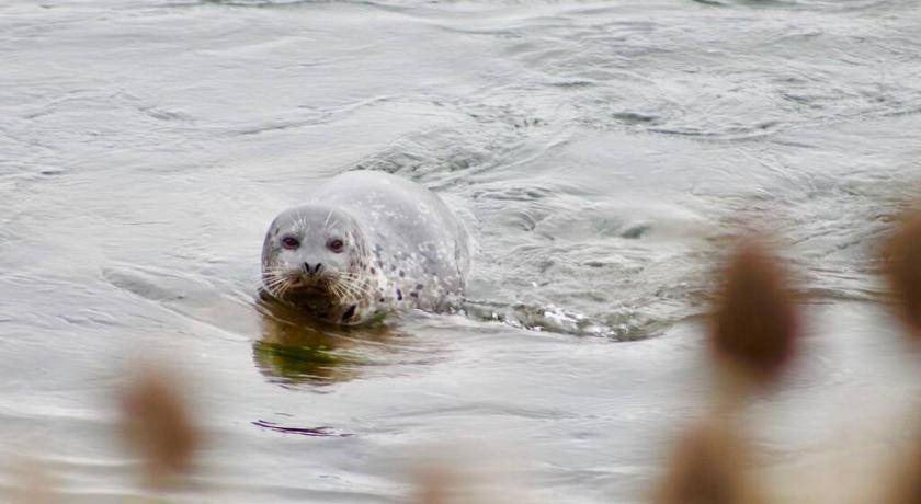 Photo of Others in Seaside