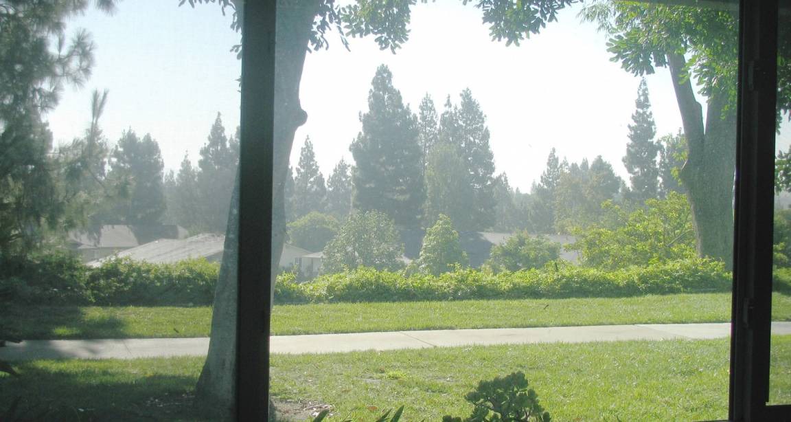 Photo of Others in Laguna Woods
