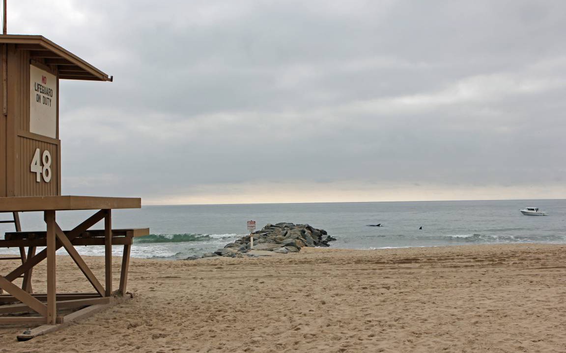 Photo of Others in West Newport