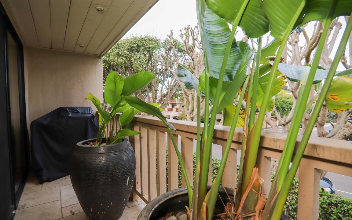 Photo of Others in Solana Beach