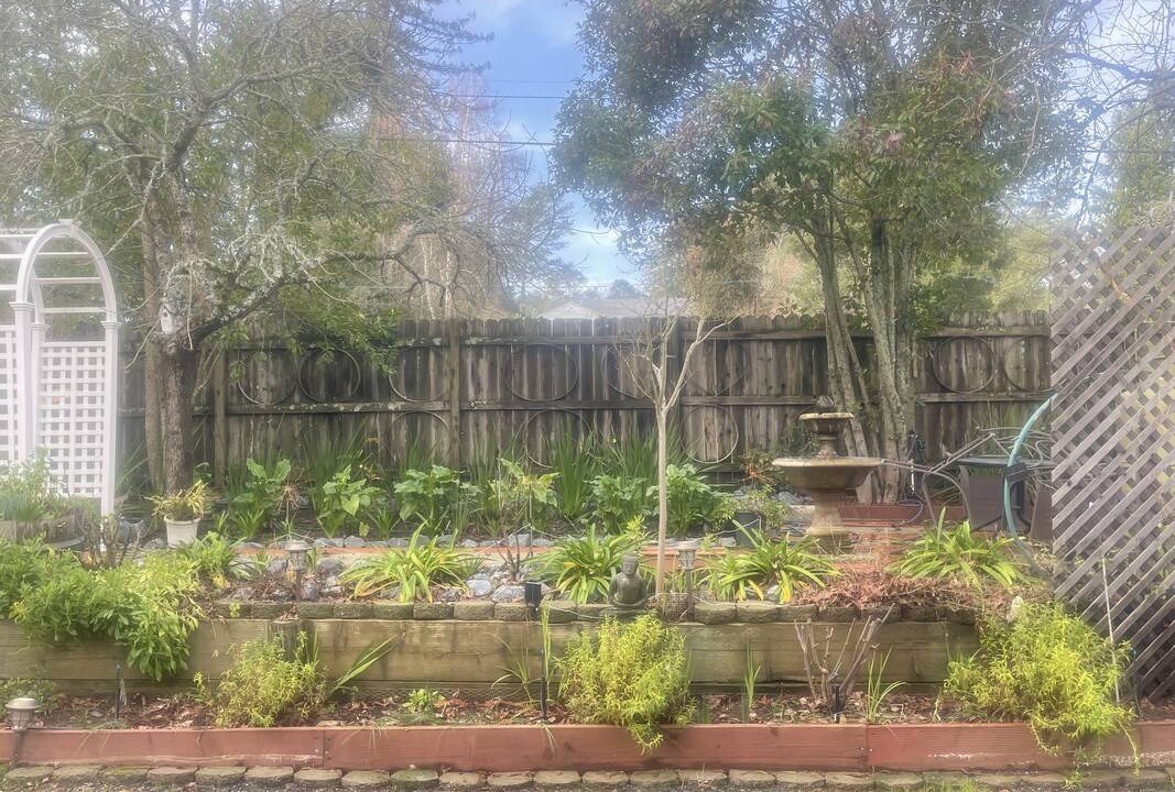 Photo of Others in Sebastopol