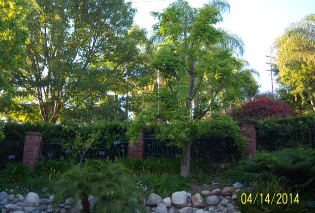 Photo of Others in La Habra Heights