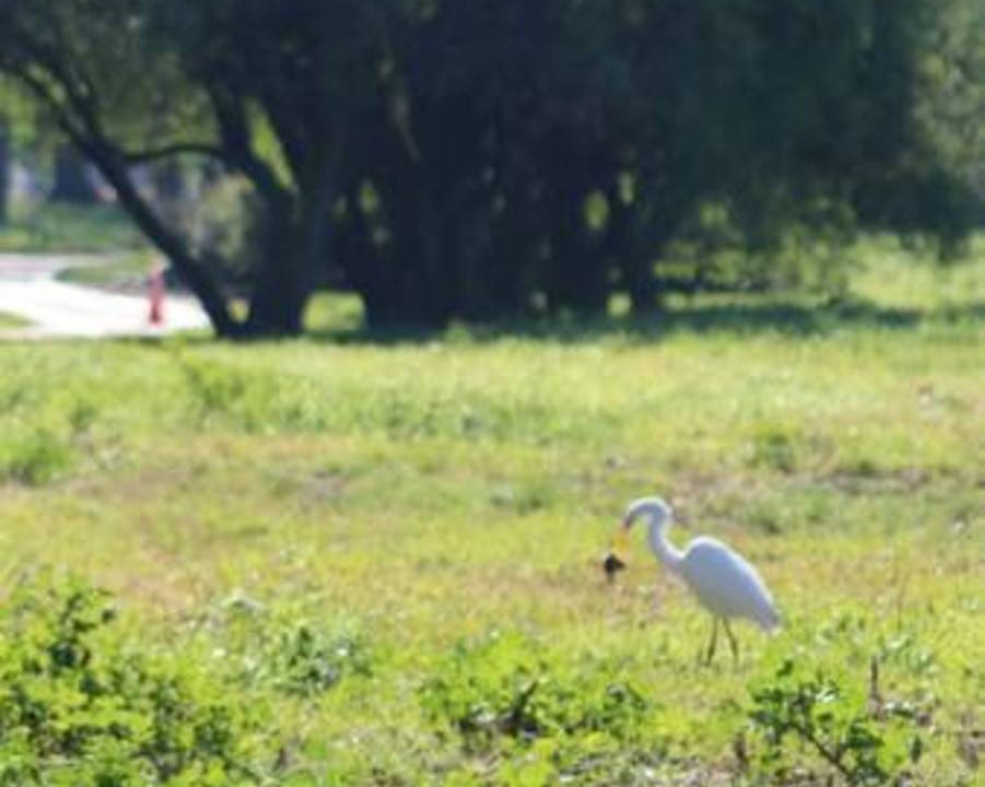 Photo of Others in Ranchos
