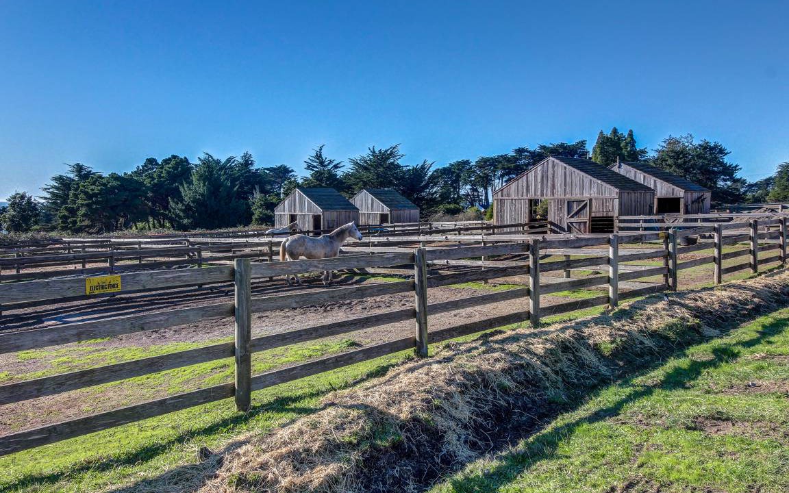 Photo of Others in Sea Ranch