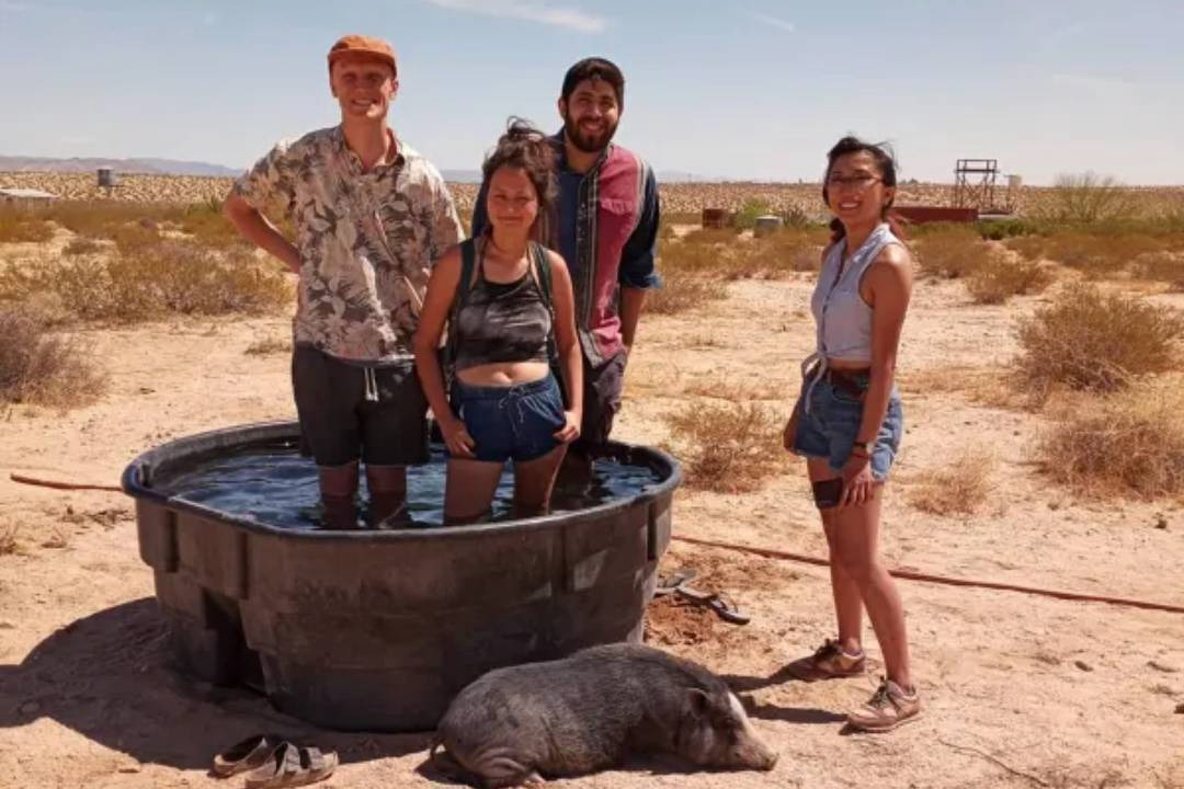 Photo of Others in Joshua Tree