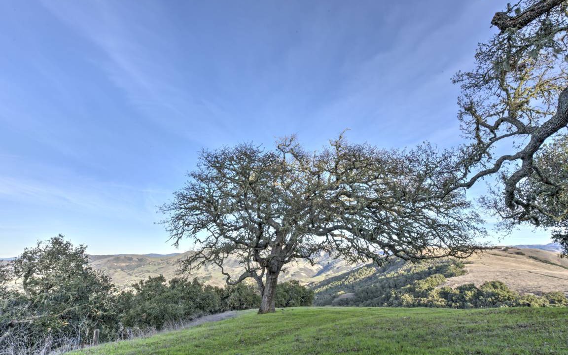 Photo of Others in Northwest Carmel