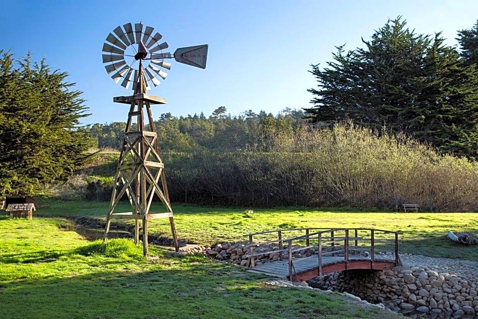 Photo of Others in San Simeon