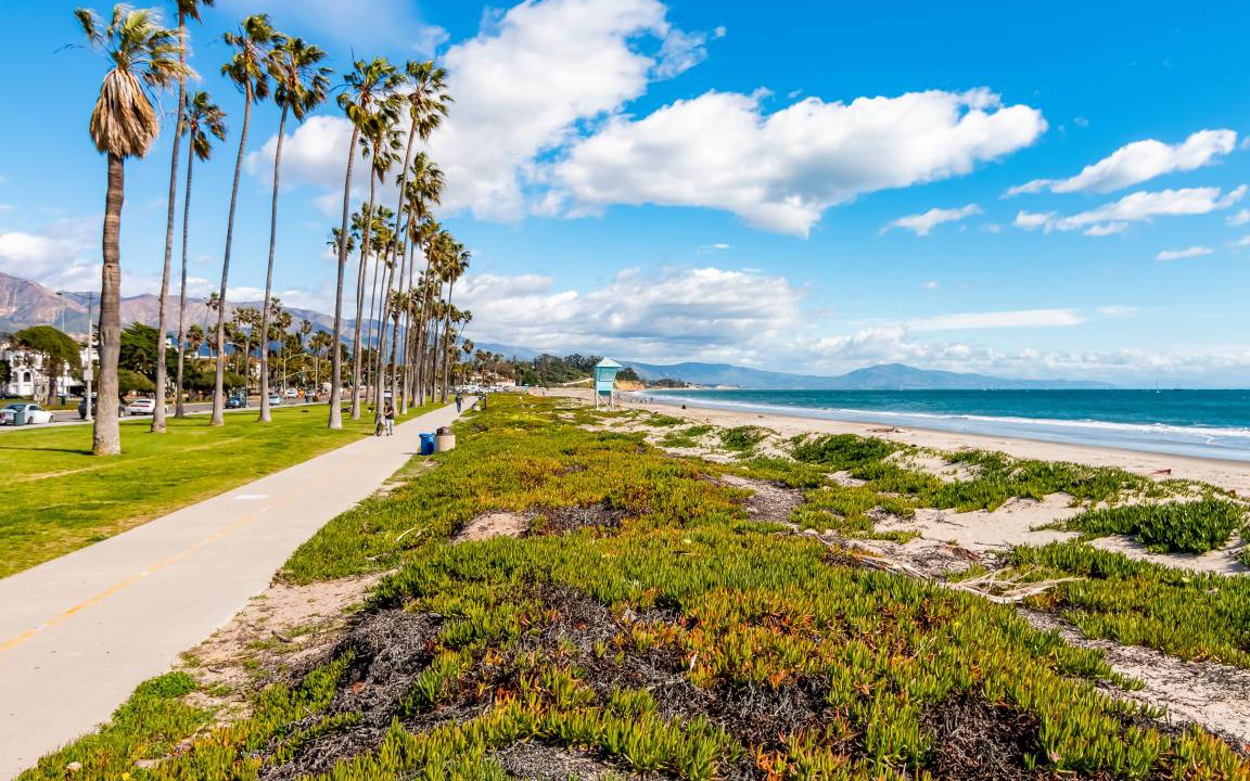 Photo of Others in East Beach