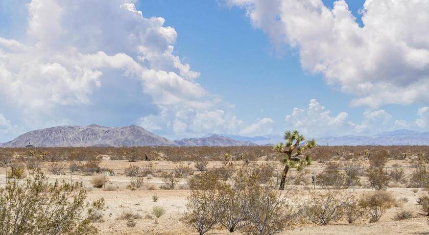 Photo of Others in Joshua Tree