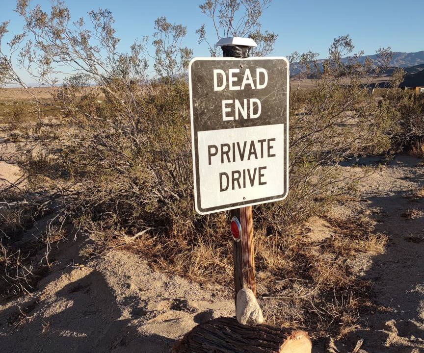 Photo of Others in Joshua Tree