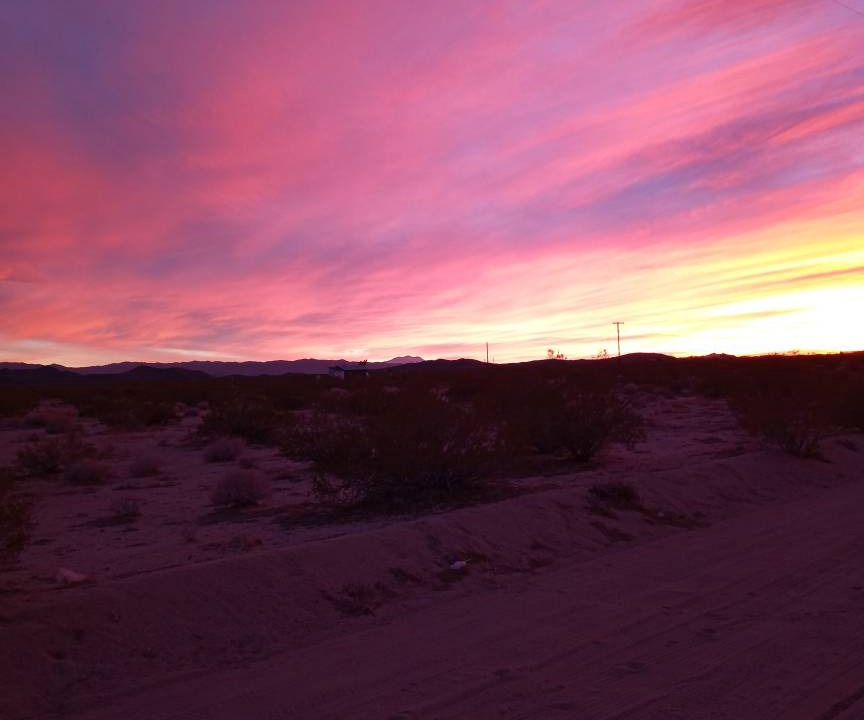 Photo of Others in Joshua Tree