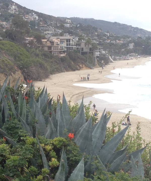 Photo of Others in Laguna Woods