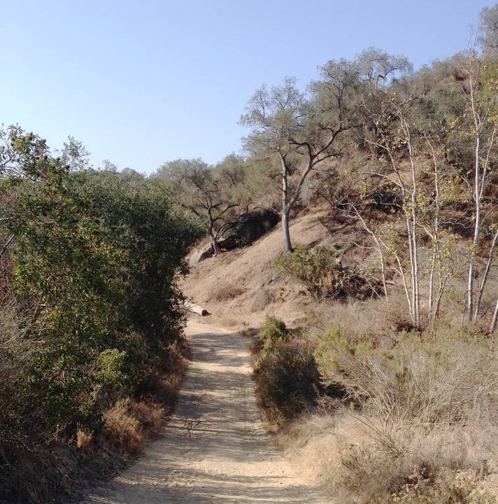 Photo of Others in Laguna Woods