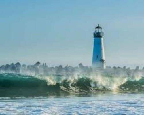 Photo of Others in Eastside Santa Cruz
