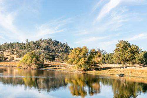 Photo of Others in Mariposa