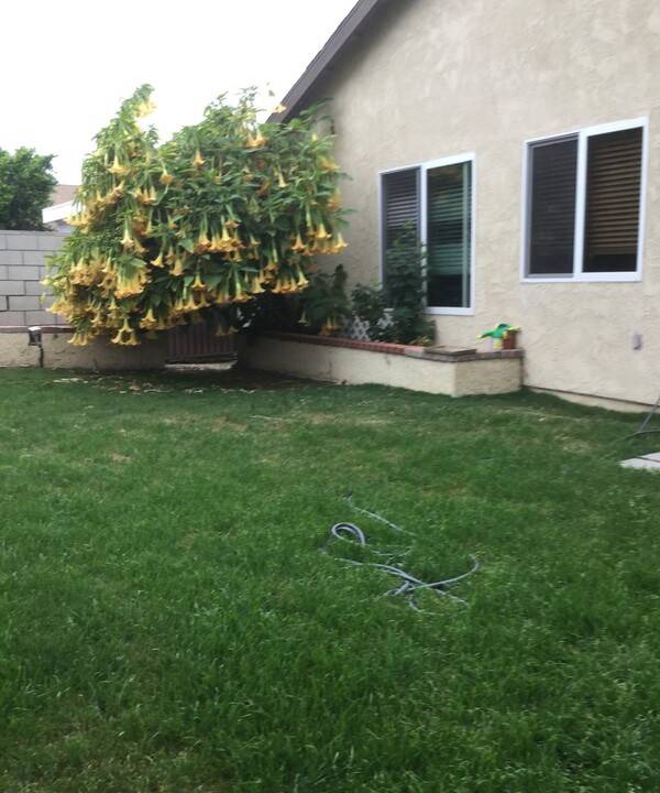 Photo of Others in El Camino Real