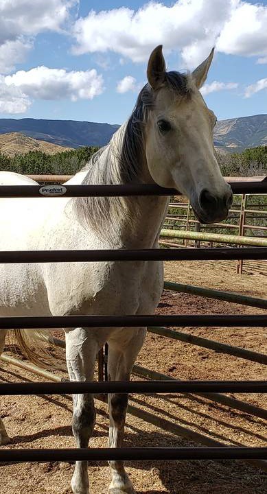 Photo of Others in Agua Dulce