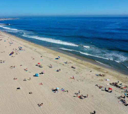 Photo of Others in Newport Shores