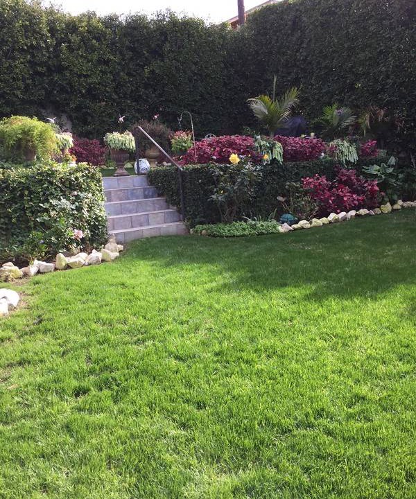 Photo of Outdoor in South Redondo