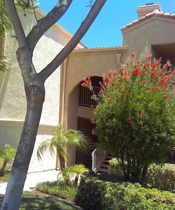 Photo of Others in Corona